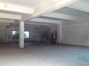 東莞市農(nóng)村集體資產(chǎn)管理網(wǎng)視角下水圍埔一廠廠房投資管理策略探析